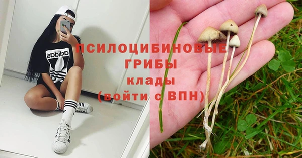 ГАЛЛЮЦИНОГЕННЫЕ ГРИБЫ Абдулино