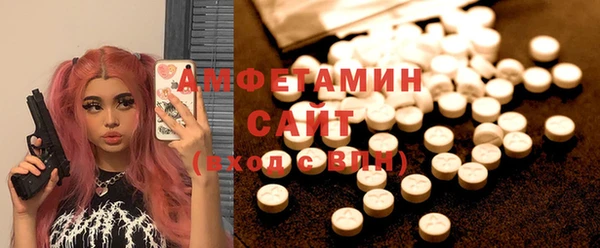 гашик Алзамай