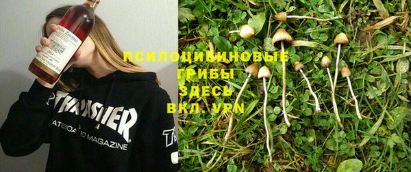 mix Абаза