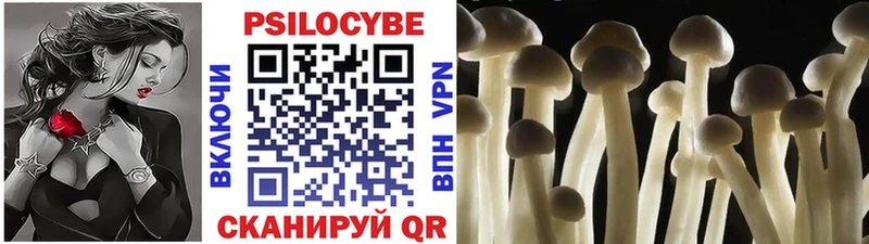 где продают наркотики Кизилюрт Галлюциногенные грибы мухоморы