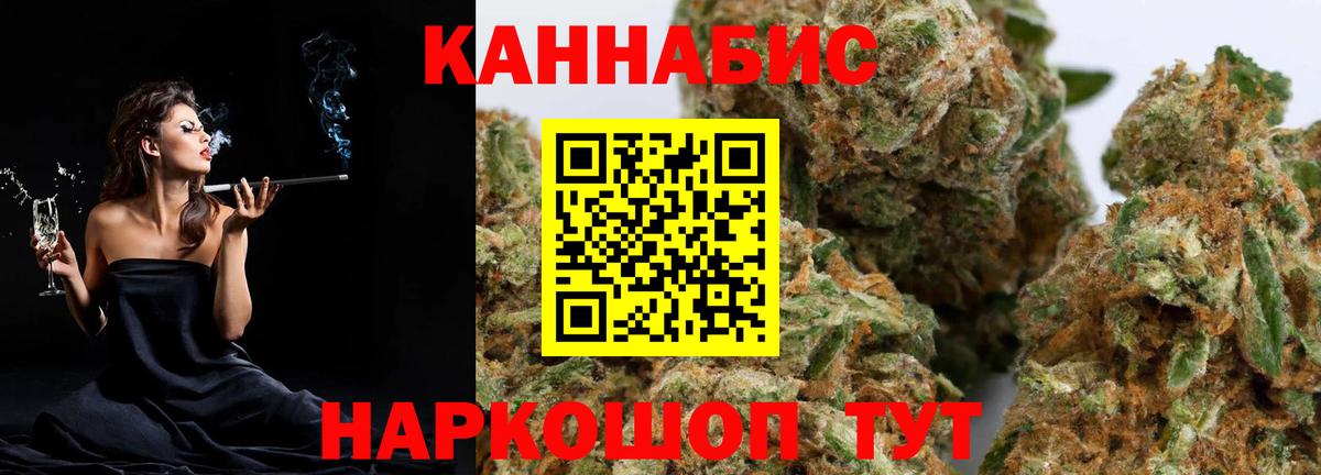 Каннабис сатива Кизилюрт